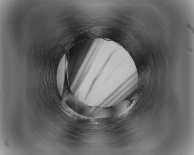 X0000097970186200804141102