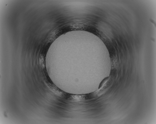 X0000097970187200804141102