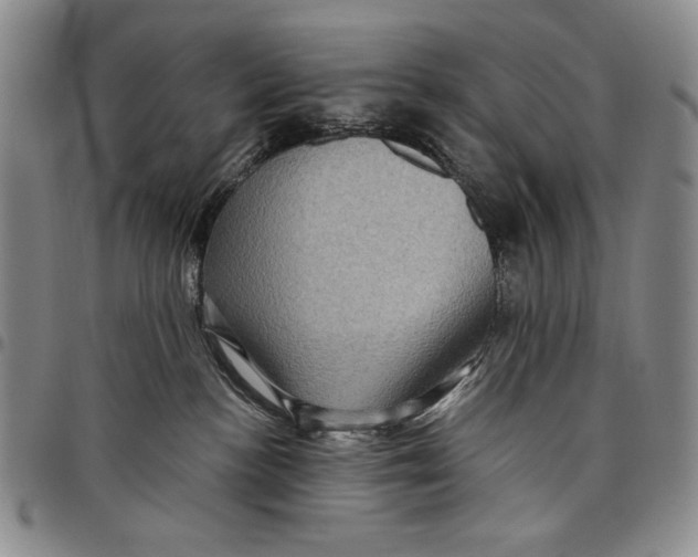 X0000097970188200804141102