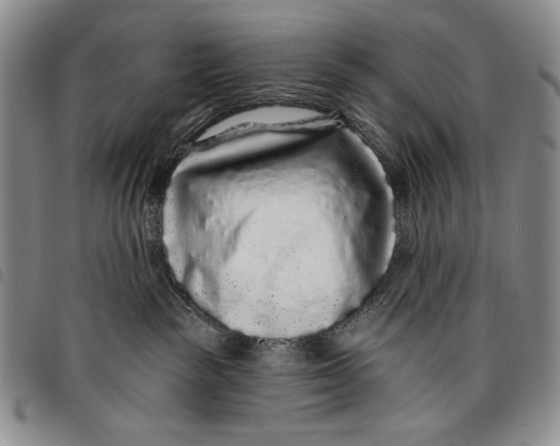X0000097970189200804141102