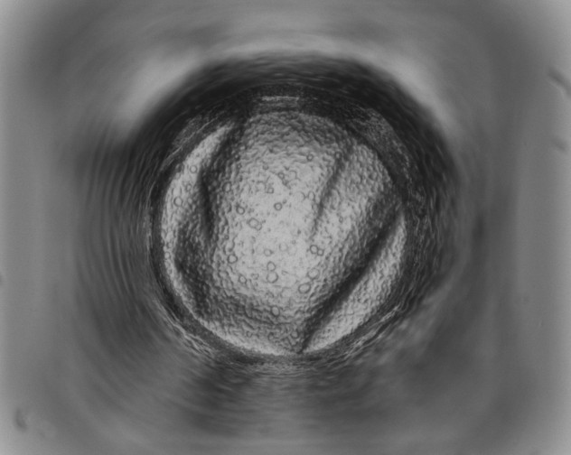 X0000097970194200804141101