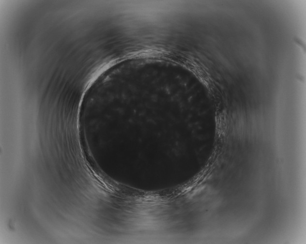 X0000097970196200804141101