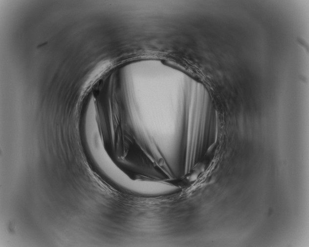 X0000097970197200804141101