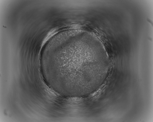X0000097970198200804141101