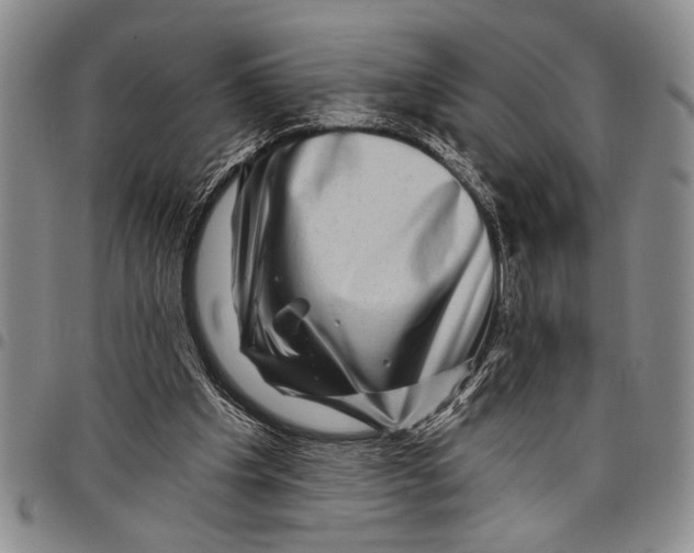 X0000097970201200804141101