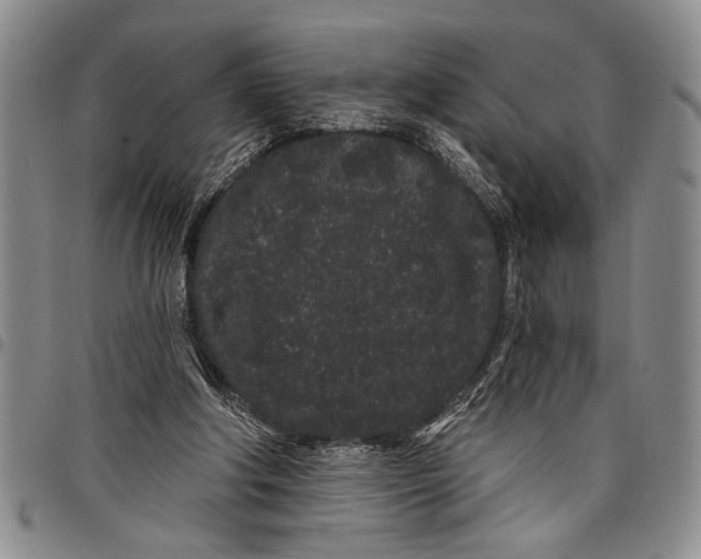 X0000097970202200804141101