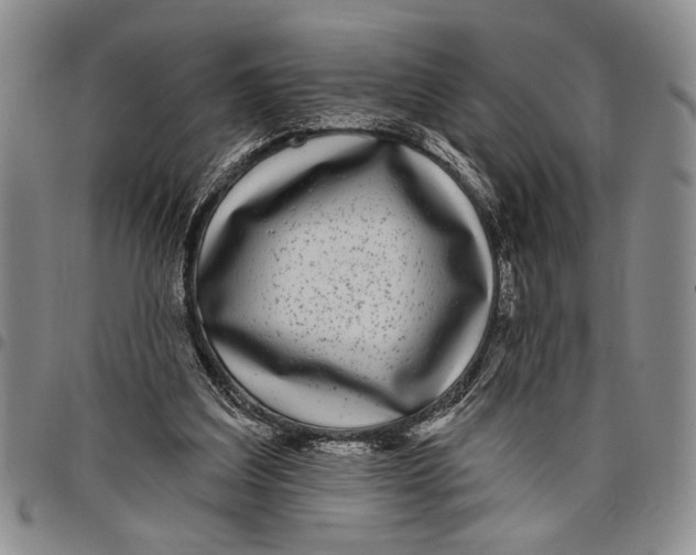 X0000097970203200804141101