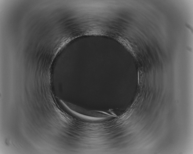 X0000097970204200804141101
