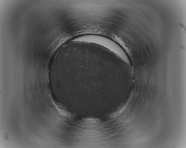X0000097970205200804141101