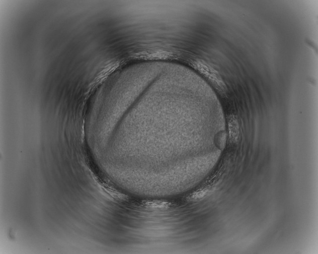 X0000097970206200804141101