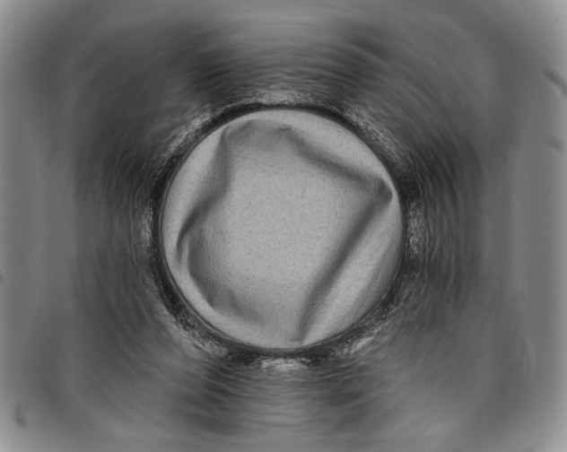 X0000097970208200804141101