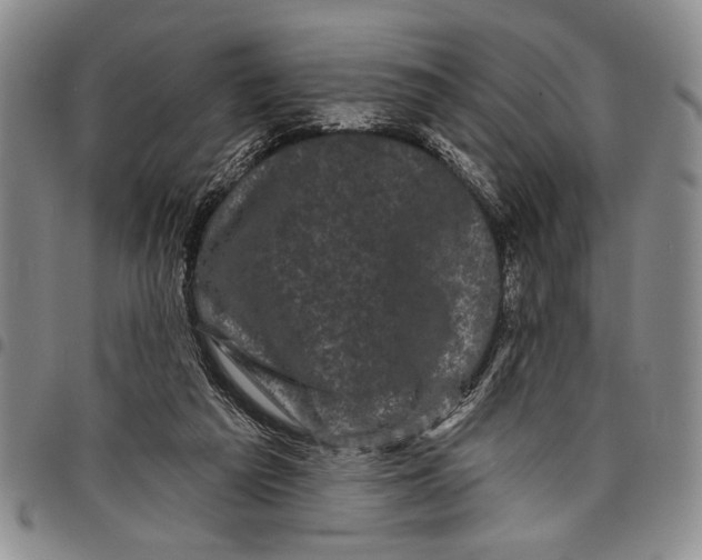 X0000097970209200804141101