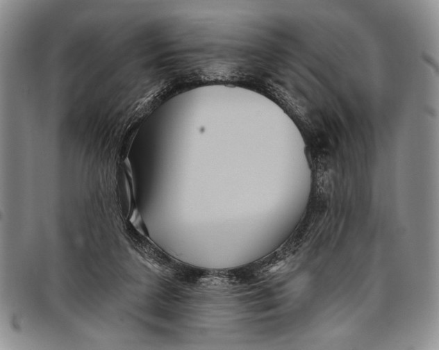 X0000097970211200804141101
