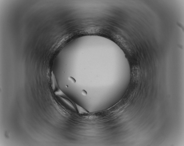 X0000097970212200804141101