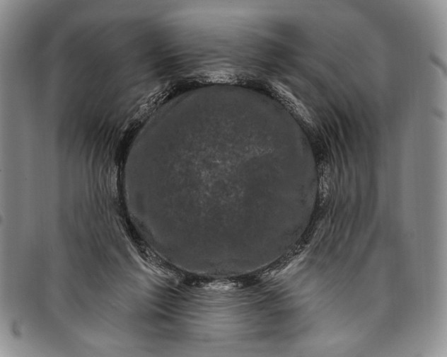 X0000097970213200804141101