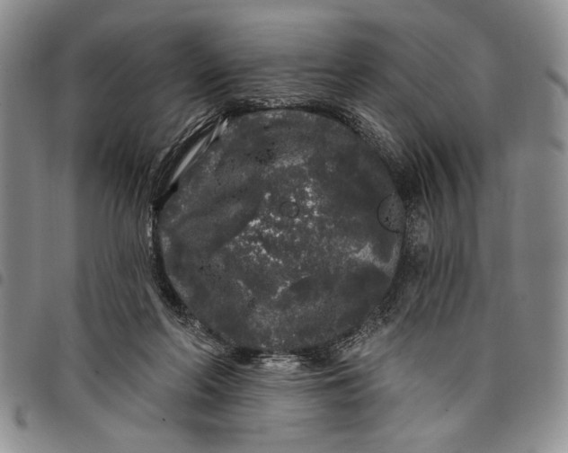 X0000097970214200804141101