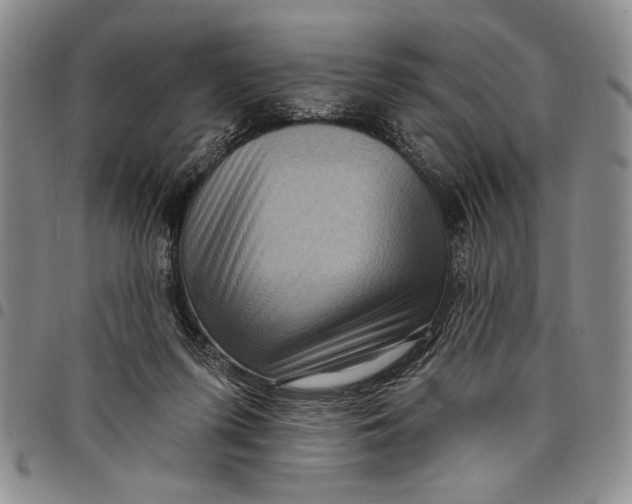 X0000097970215200804141101
