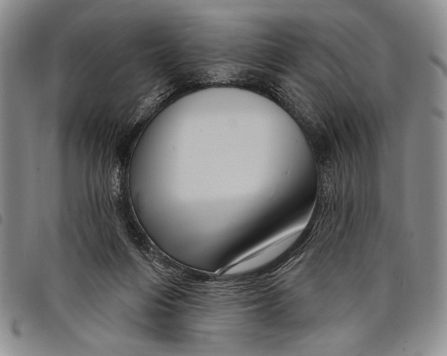 X0000097970216200804141101