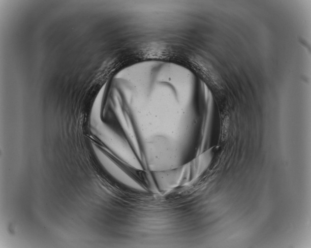 X0000097970217200804141101