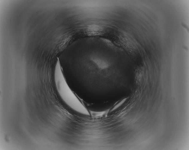 X0000097970219200804141101