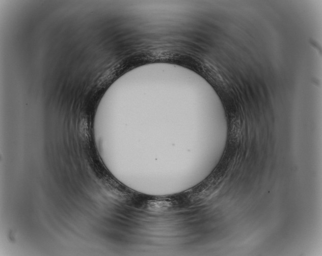 X0000097970220200804141101