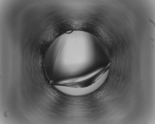 X0000097970221200804141101
