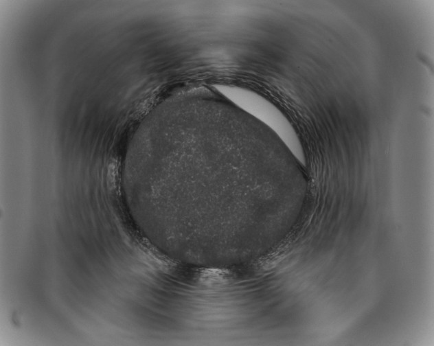 X0000097970222200804141101