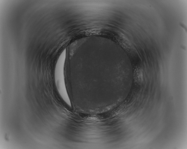 X0000097970224200804141101
