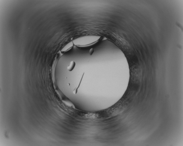 X0000097970225200804141101