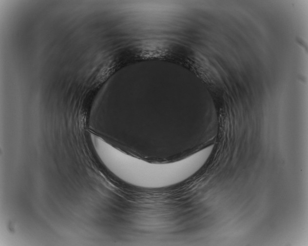 X0000097970227200804141101