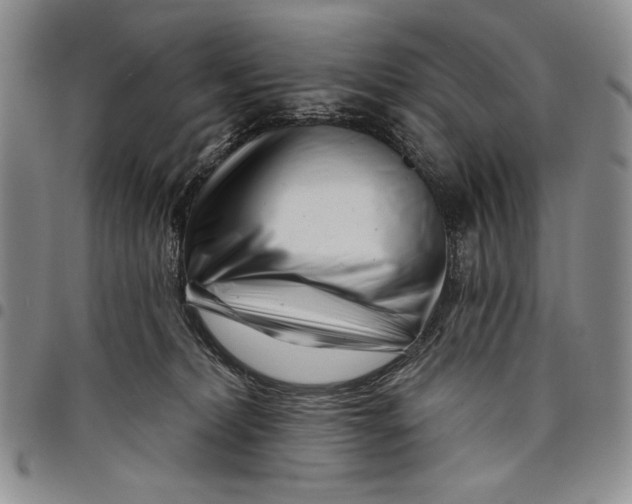 X0000097970228200804141101