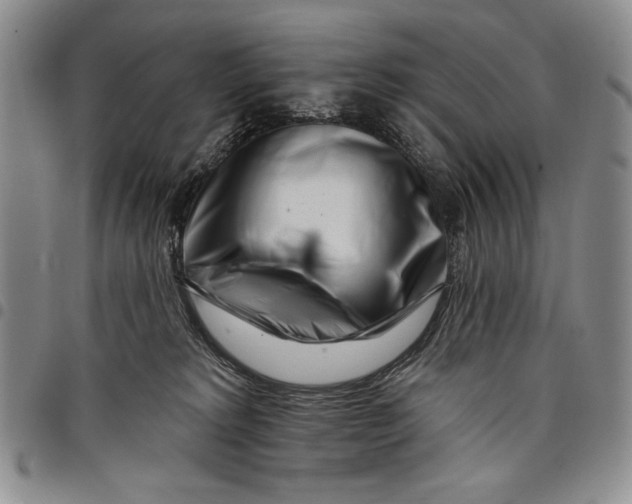 X0000097970229200804141100