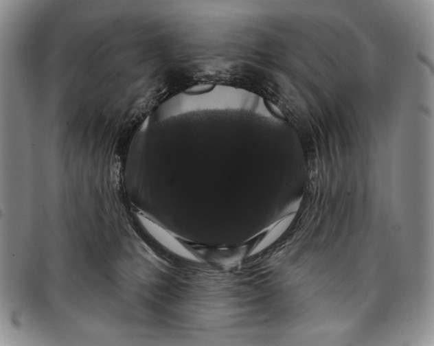 X0000097970231200804141100