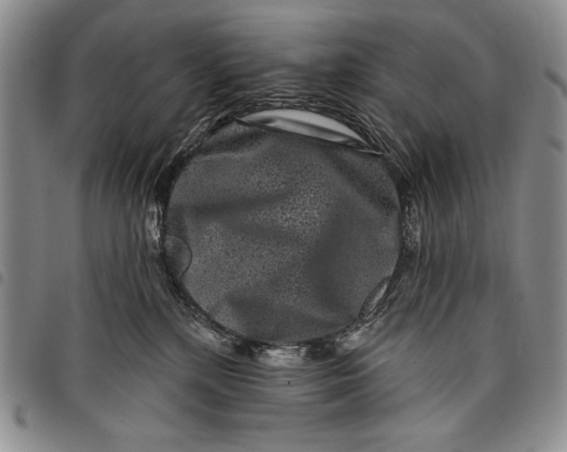X0000097970232200804141100