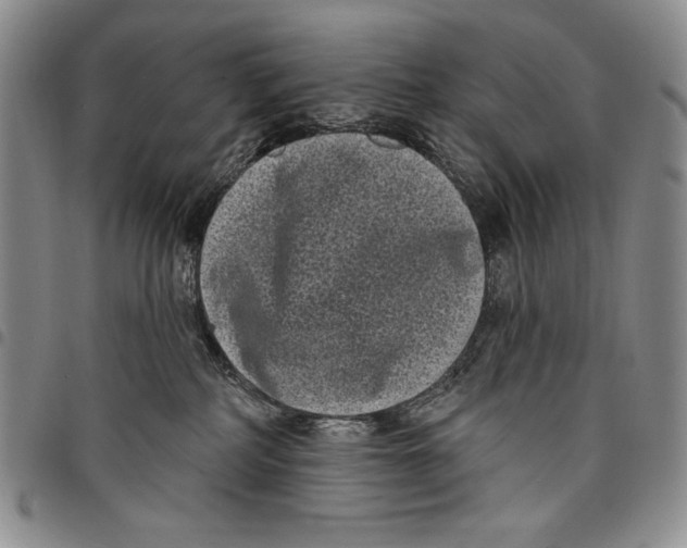X0000097970234200804141100