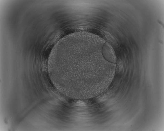 X0000097970236200804141100