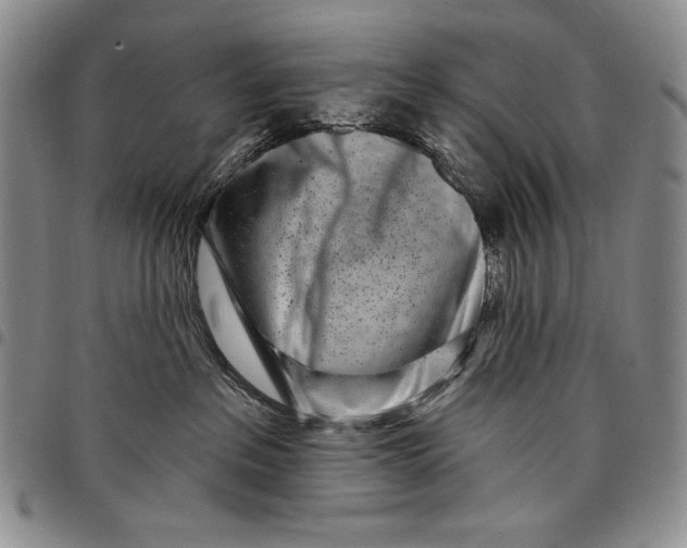 X0000097970237200804141100