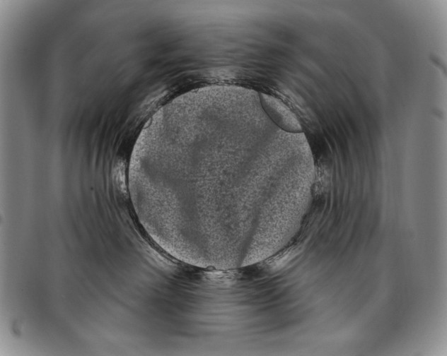 X0000097970238200804141100