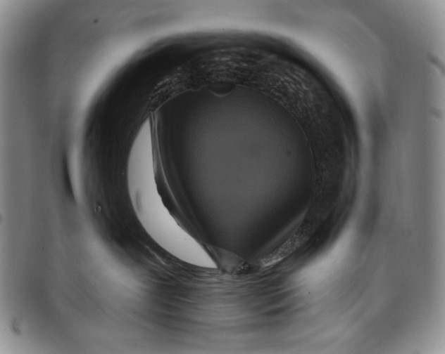 X0000097970239200804141100