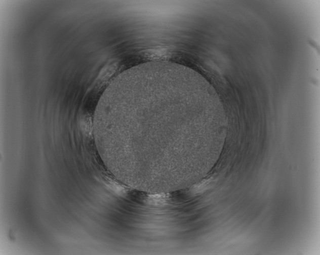 X0000097970240200804141100
