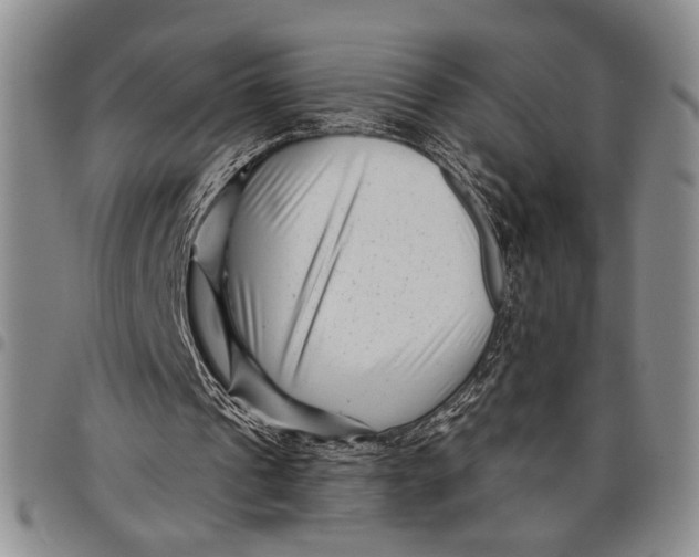 X0000097970241200804141100