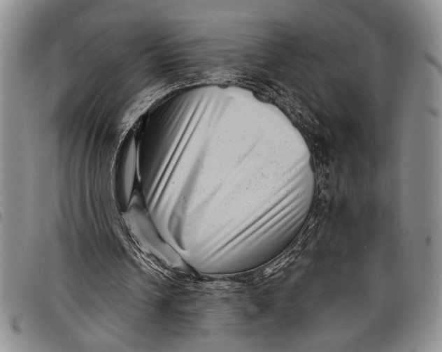 X0000097970242200804141100