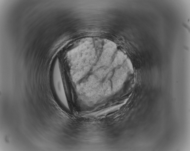 X0000097970243200804141100