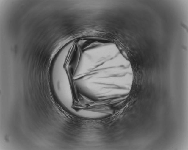 X0000097970244200804141100