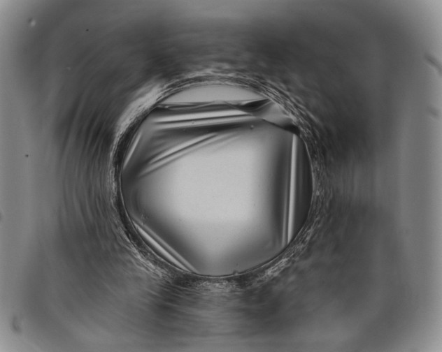 X0000097970245200804141100