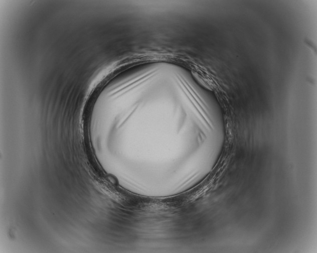 X0000097970246200804141100
