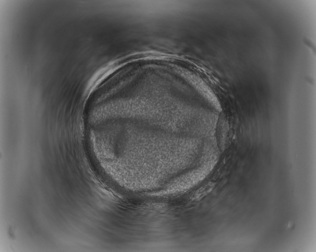 X0000097970247200804141100
