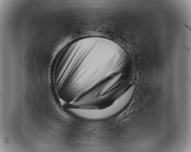 X0000097970248200804141100