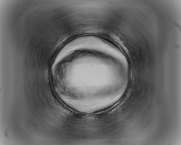 X0000097970249200804141100