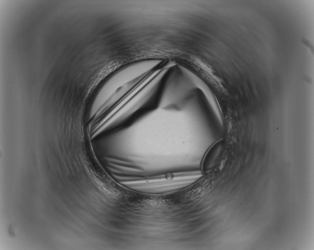 X0000097970250200804141100